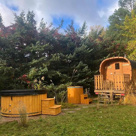 Szeroki Bor Oaza W Puszczy Z Sauna, Bania I Jacuzzi Exteriör bild