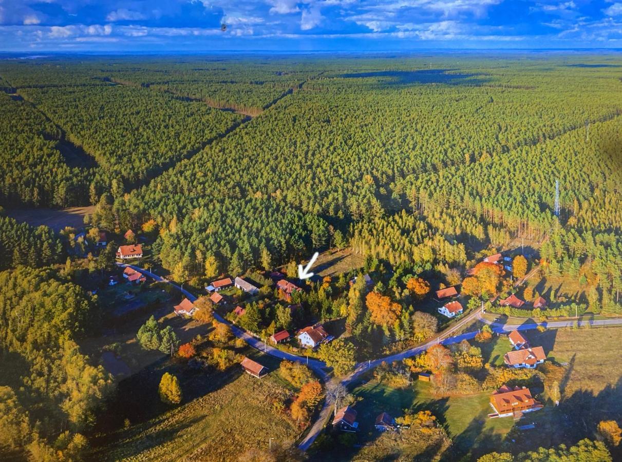 Szeroki Bor Oaza W Puszczy Z Sauna, Bania I Jacuzzi Exteriör bild