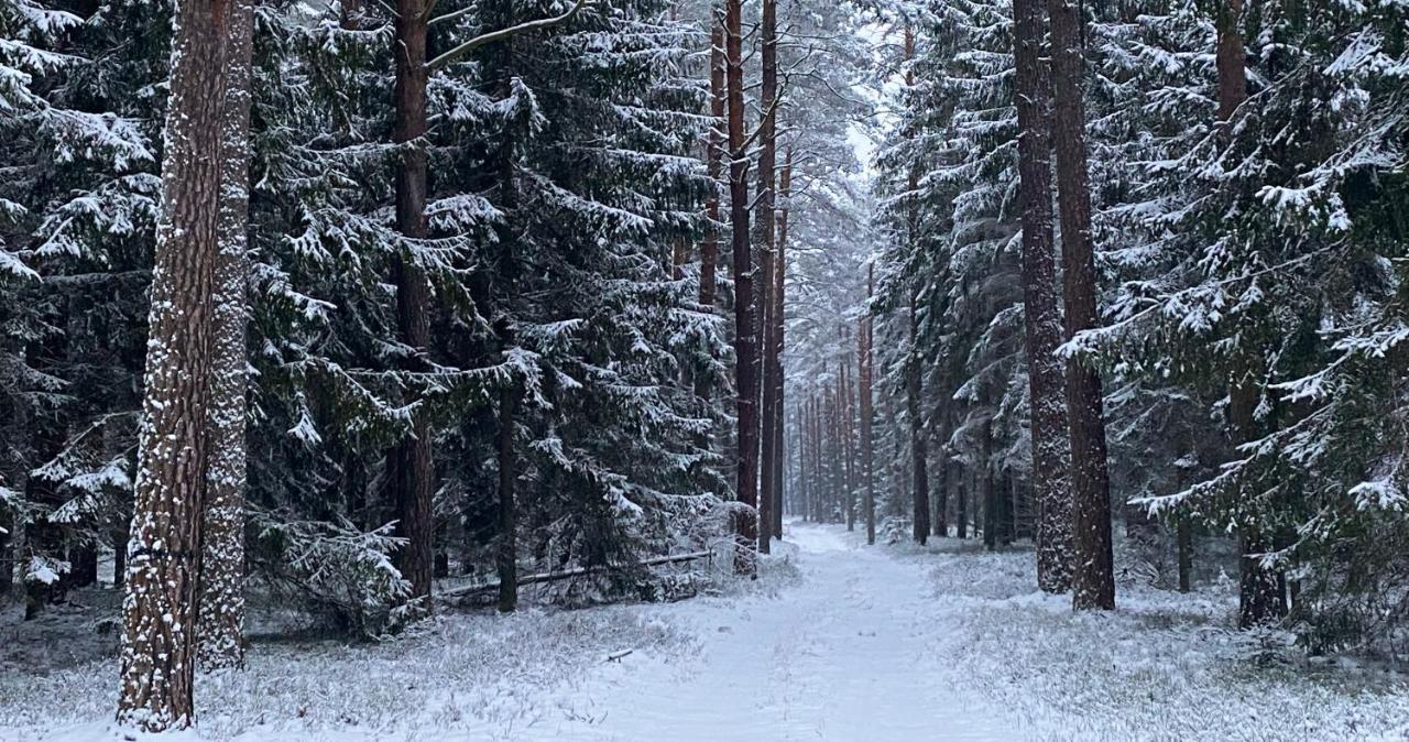 Szeroki Bor Oaza W Puszczy Z Sauna, Bania I Jacuzzi Exteriör bild