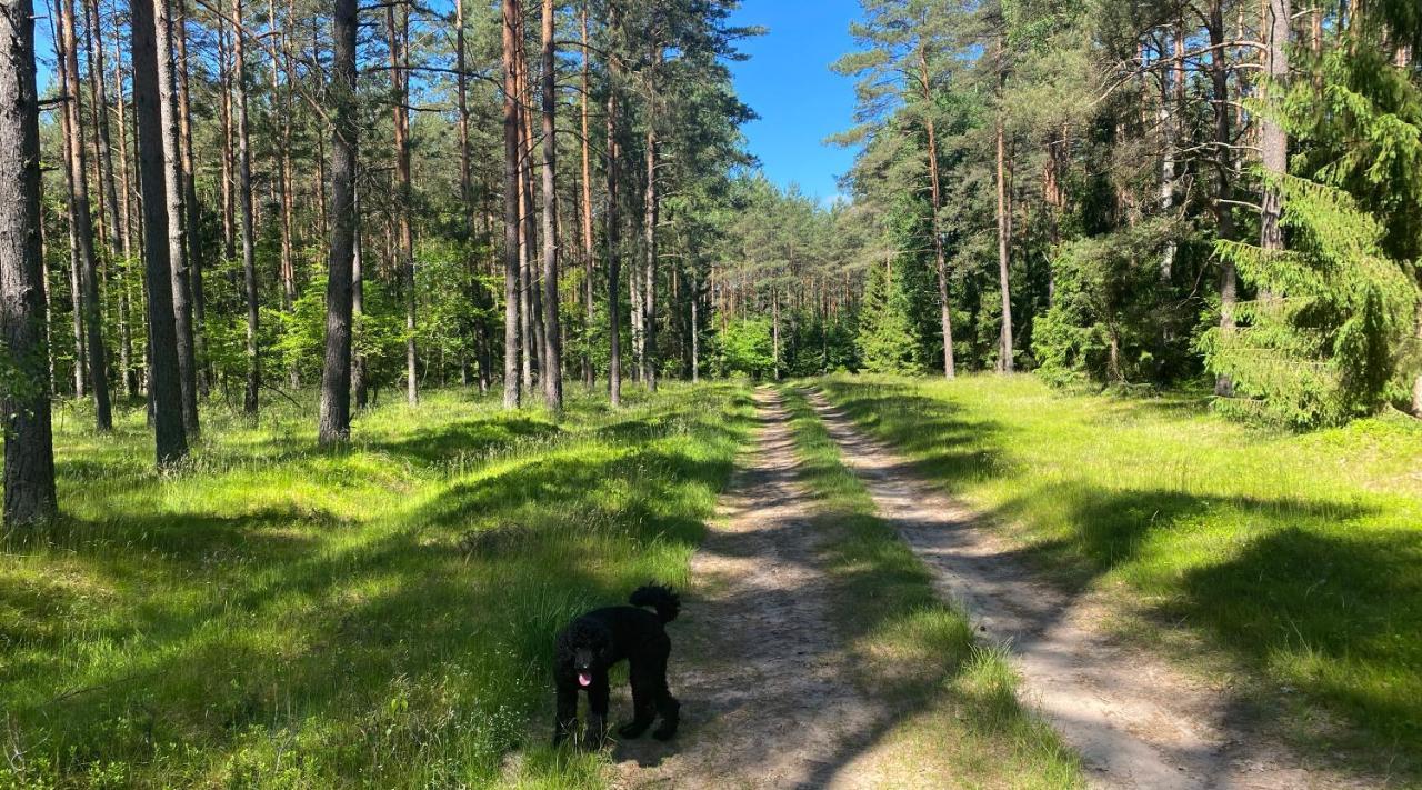 Szeroki Bor Oaza W Puszczy Z Sauna, Bania I Jacuzzi Exteriör bild
