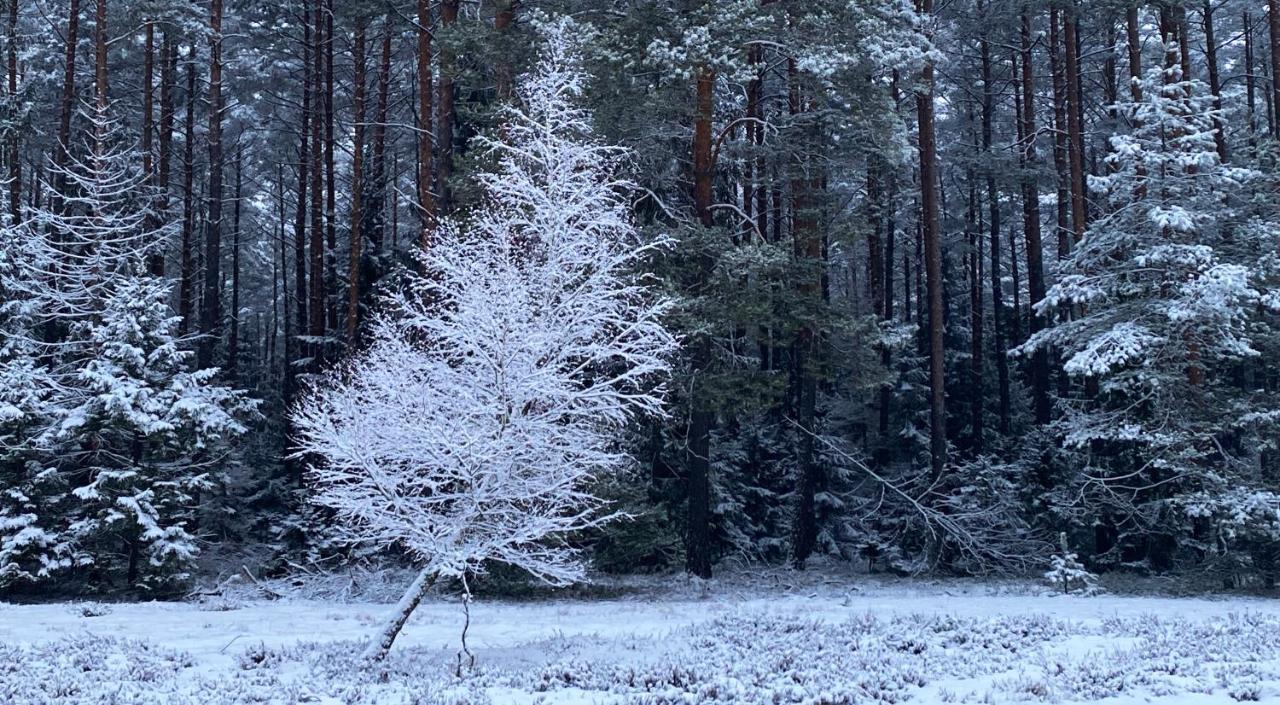 Szeroki Bor Oaza W Puszczy Z Sauna, Bania I Jacuzzi Exteriör bild