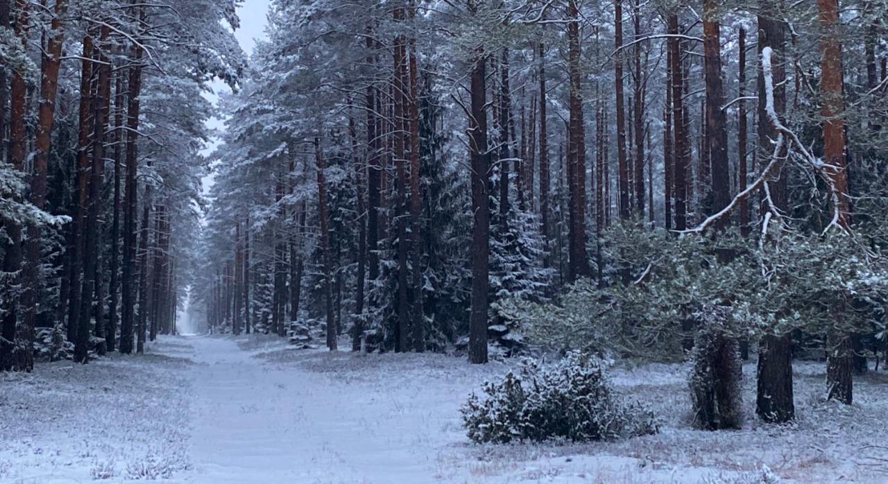 Szeroki Bor Oaza W Puszczy Z Sauna, Bania I Jacuzzi Exteriör bild
