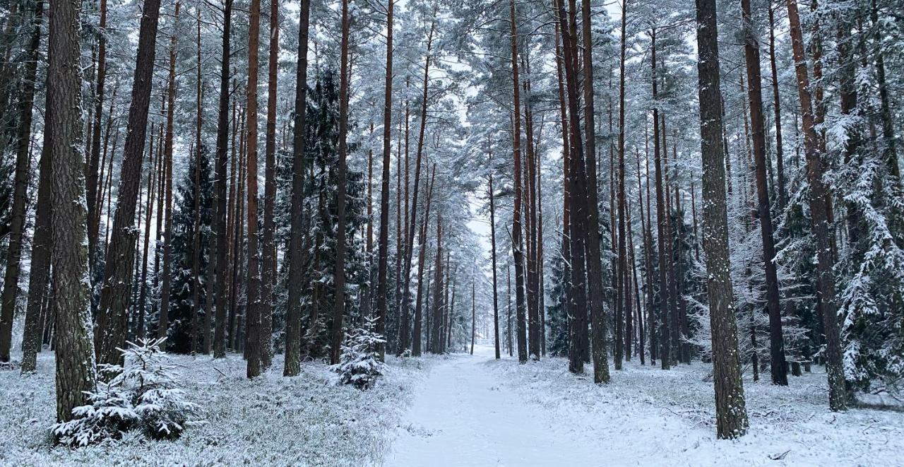 Szeroki Bor Oaza W Puszczy Z Sauna, Bania I Jacuzzi Exteriör bild